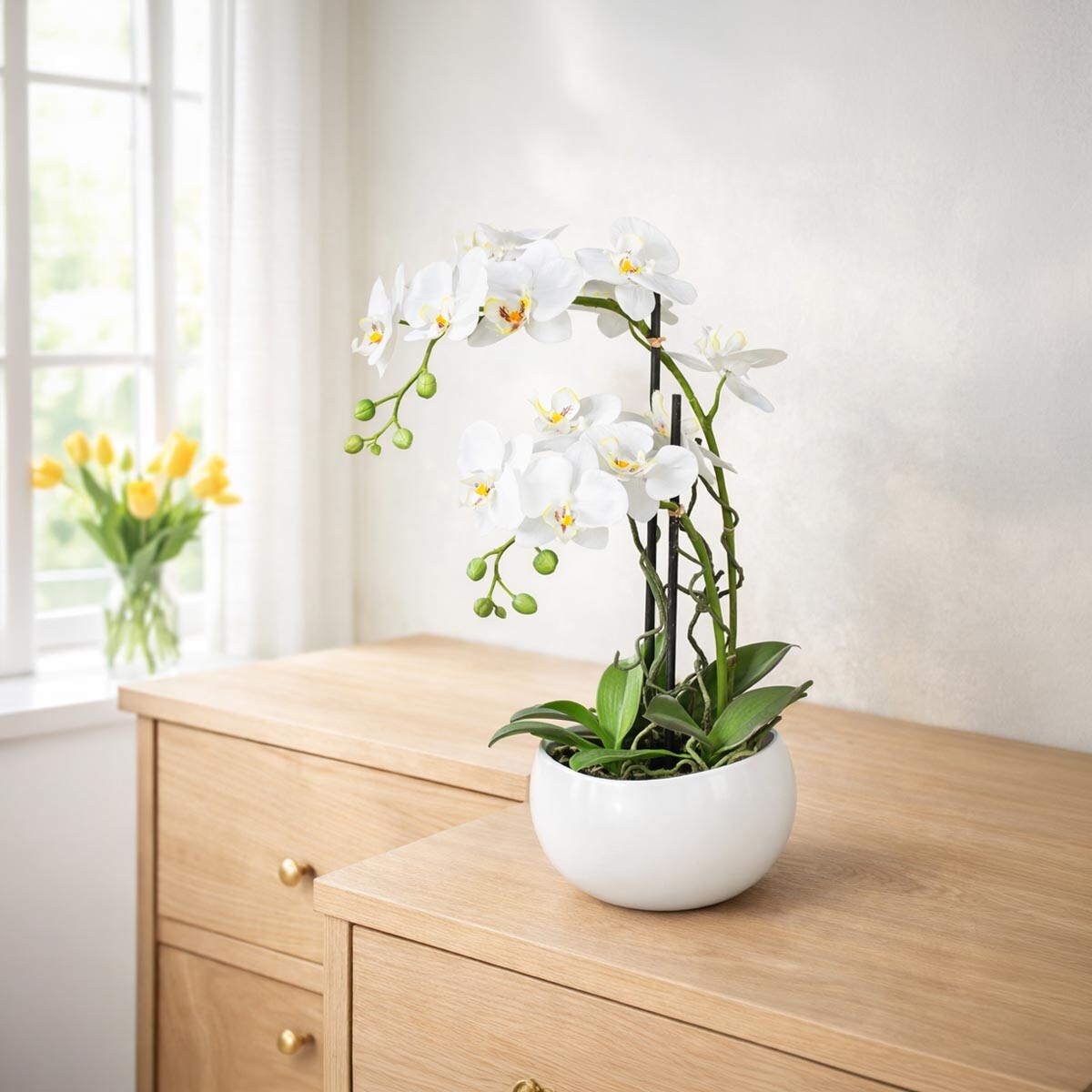 Gasper Umělá orchidej Phalaenopsis, bílá, 55 cm