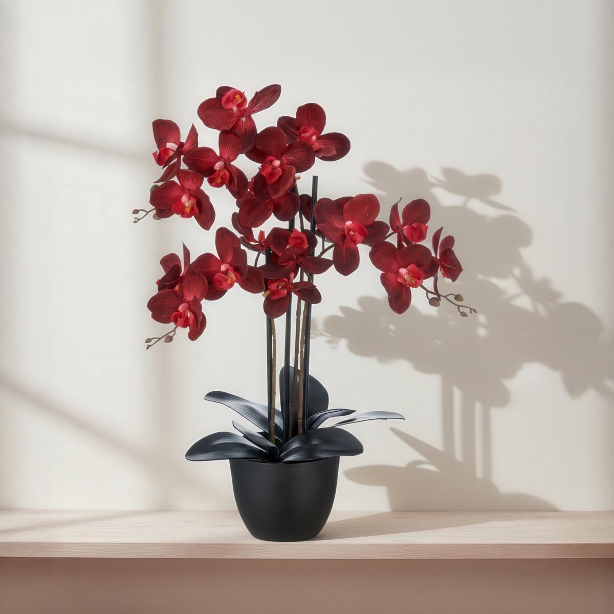 Gasper Umělá orchidej Phalaenopsis, tmavě červená