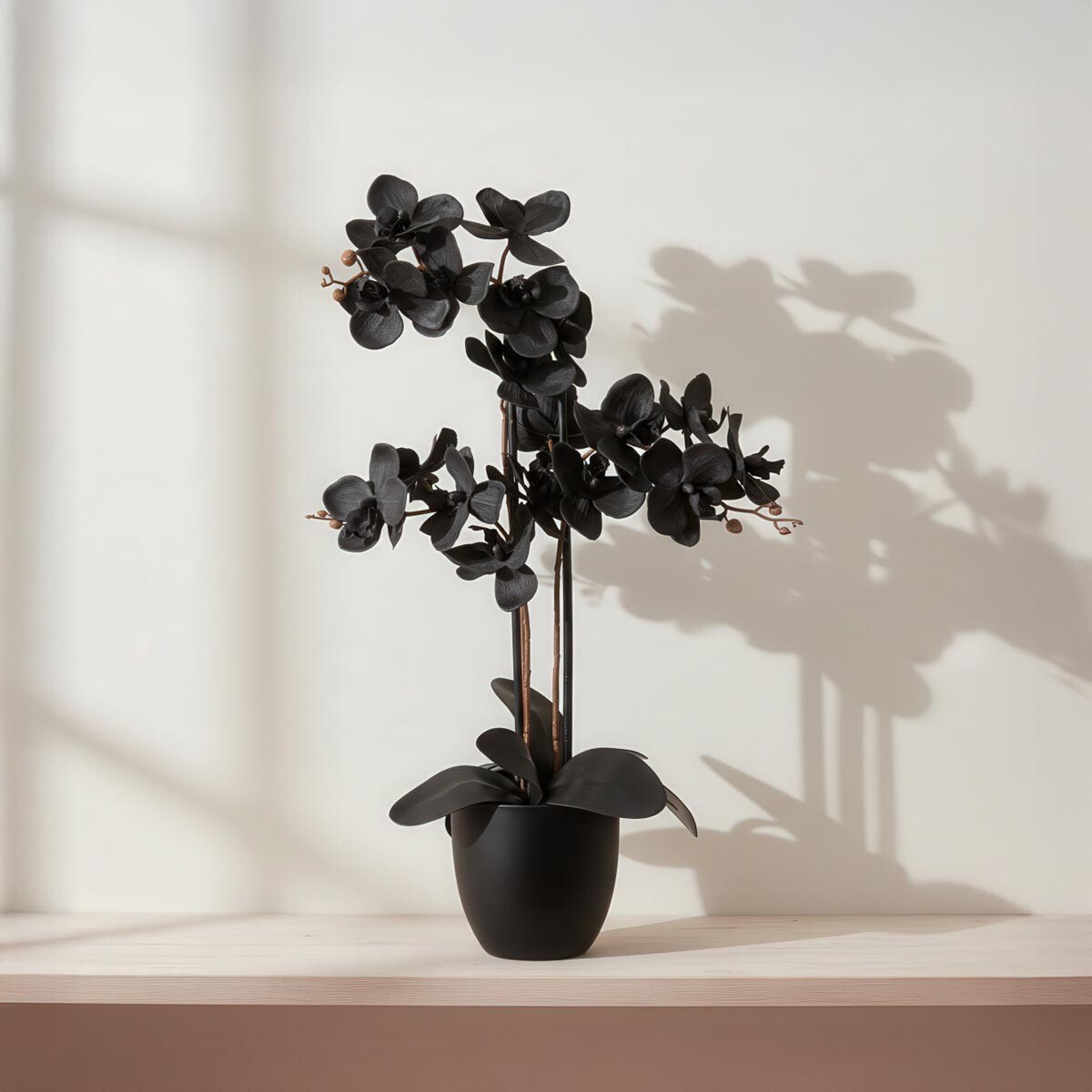 Gasper Umělá orchidej Phalaenopsis, černá