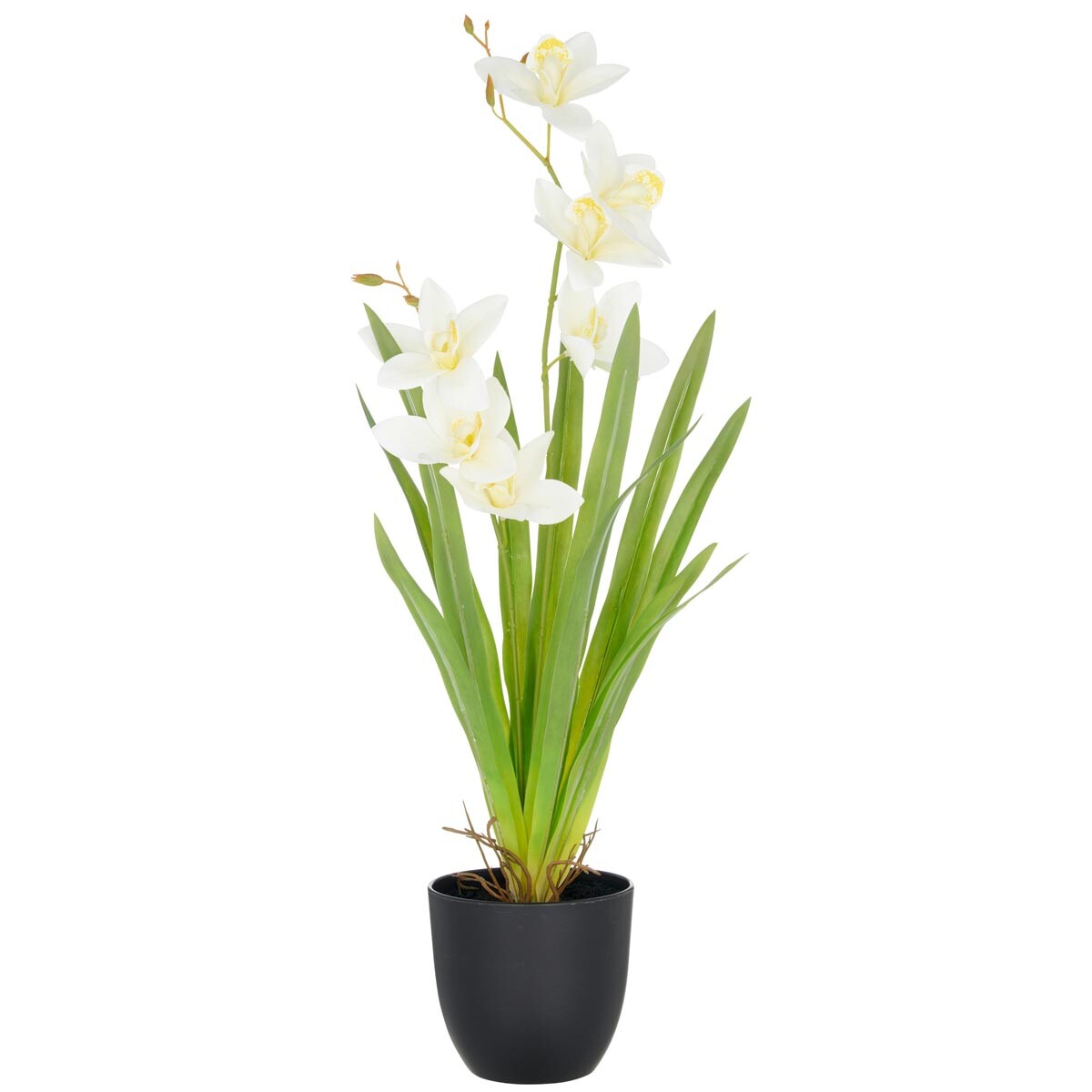 Gasper Umělá orchidej Cymbidium