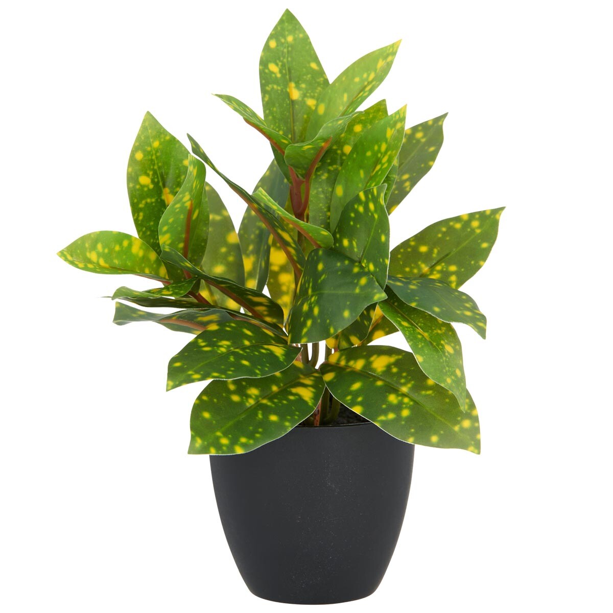 Gasper Umělá aukuba, 24 cm