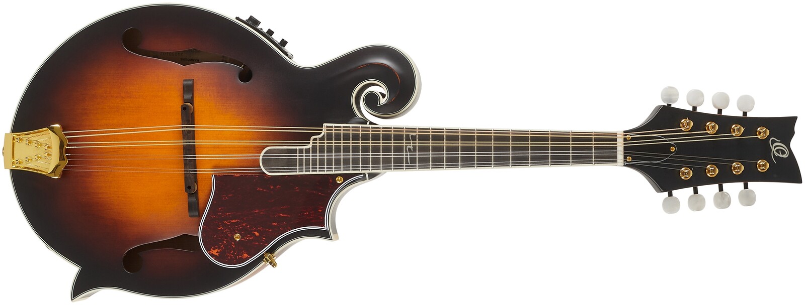 Ortega RMFE100AVO (rozbalené)