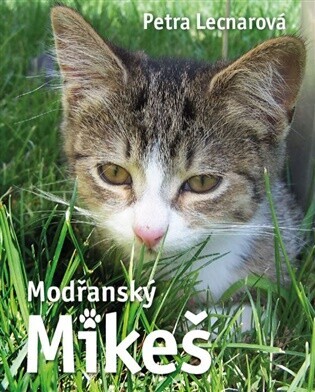 Modřanský Mikeš