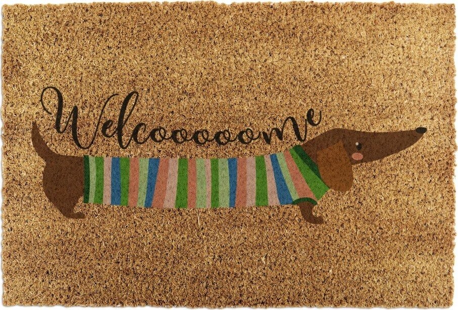 Rohožka z kokosového vlákna 40x60 cm Welcome Sausage Dog – Artsy Doormats
