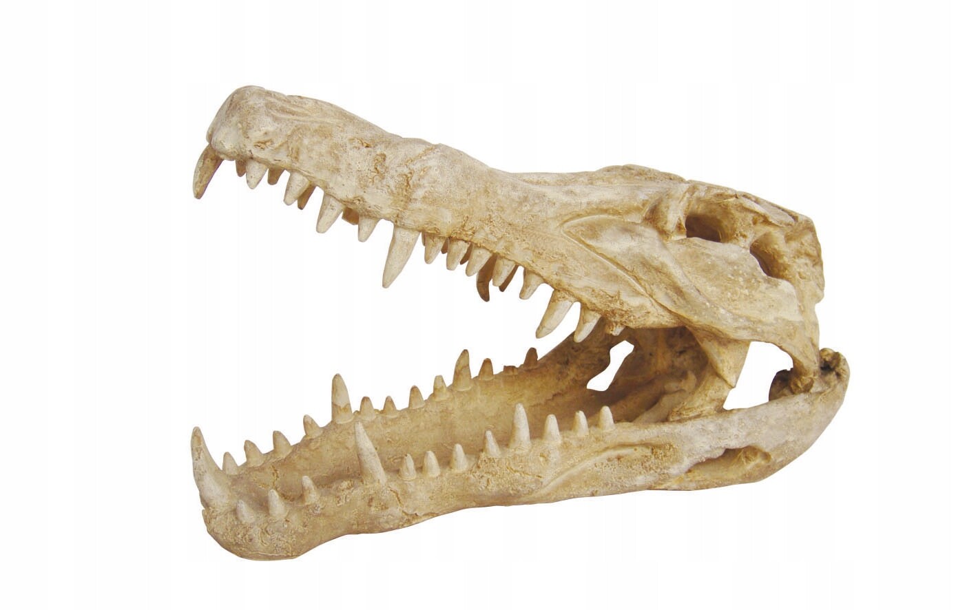 Lucky Reptile úkryt lebka krokodýla 22,5x11x15,2 cm XL!