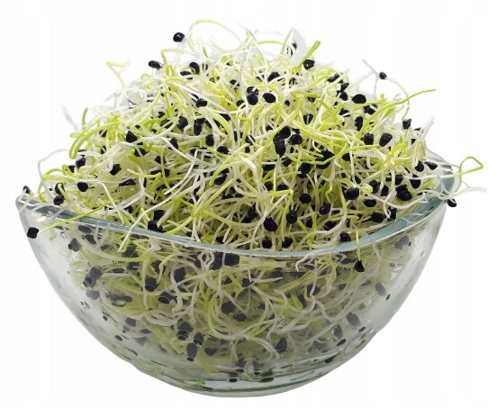 Cibule Pažitka Semínka Na Klíčky 250 g