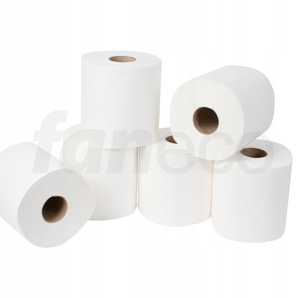 Papírový ručník v roli Faneco Premium 2 vrstvy bílá celulóza 6 ks