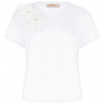 Rinascimento  CFC0128080003  ruznobarevne