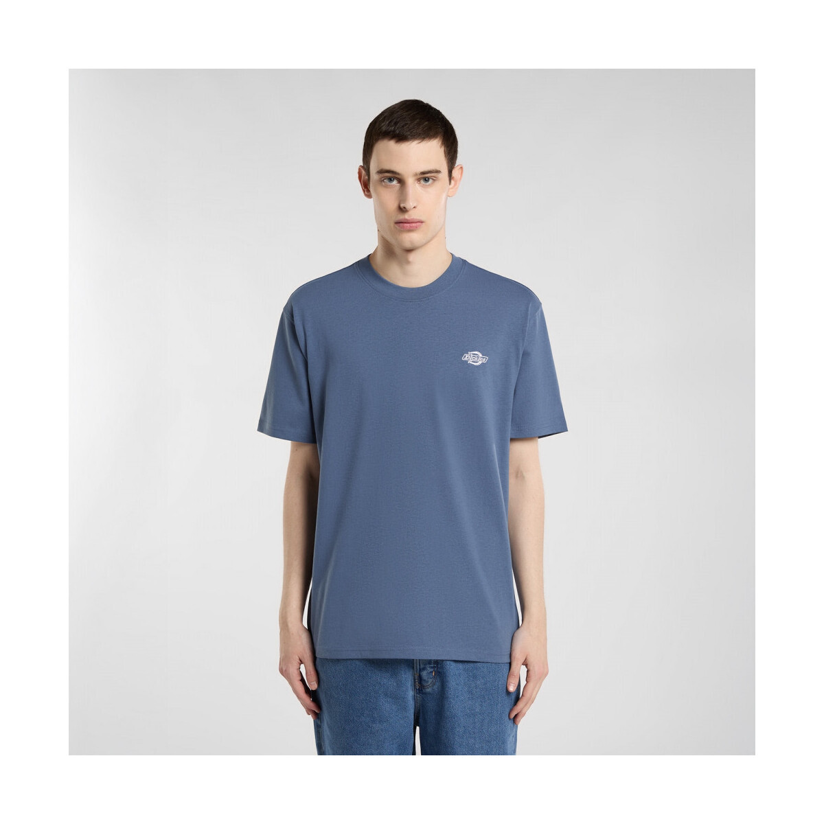 Dickies  Summerdale ss tee  Modrá