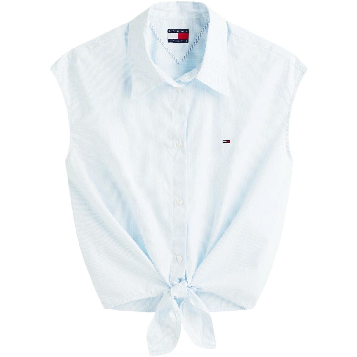 Tommy Hilfiger  DW0DW22212  Modrá