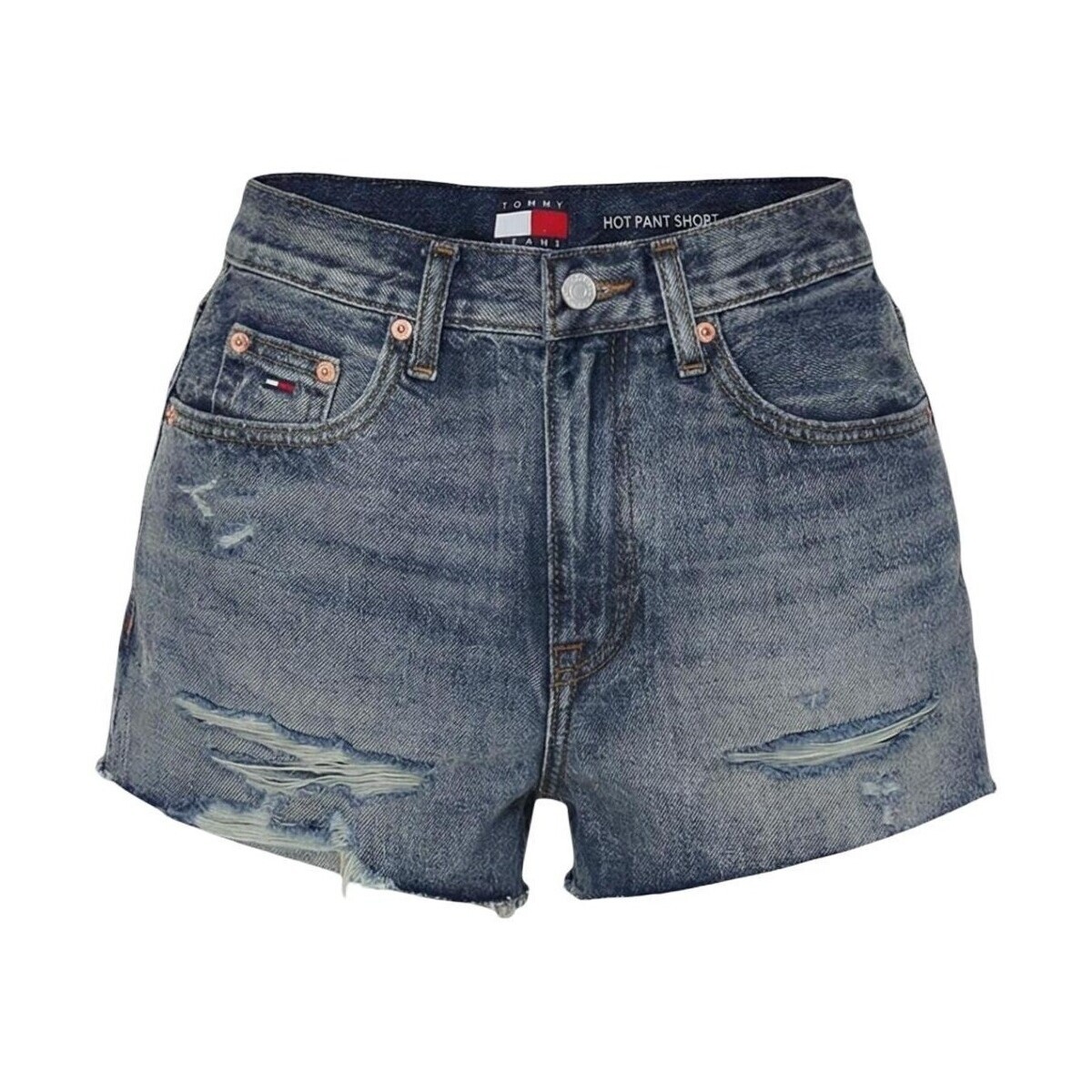 Tommy Hilfiger  DW0DW22690  Modrá