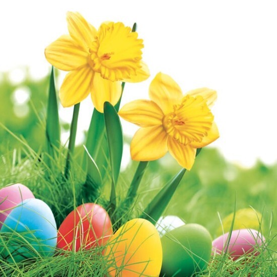 POL-MAK Velikonoční ubrousky Daisy L - Daffodils with Colorful Eggs - SD_WL_007101