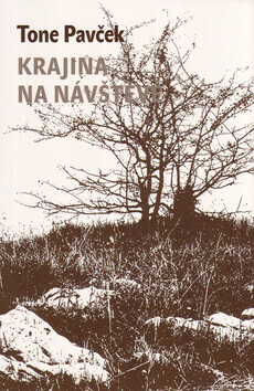Krajina na návštěvě (poškozená) - Tone Pavček