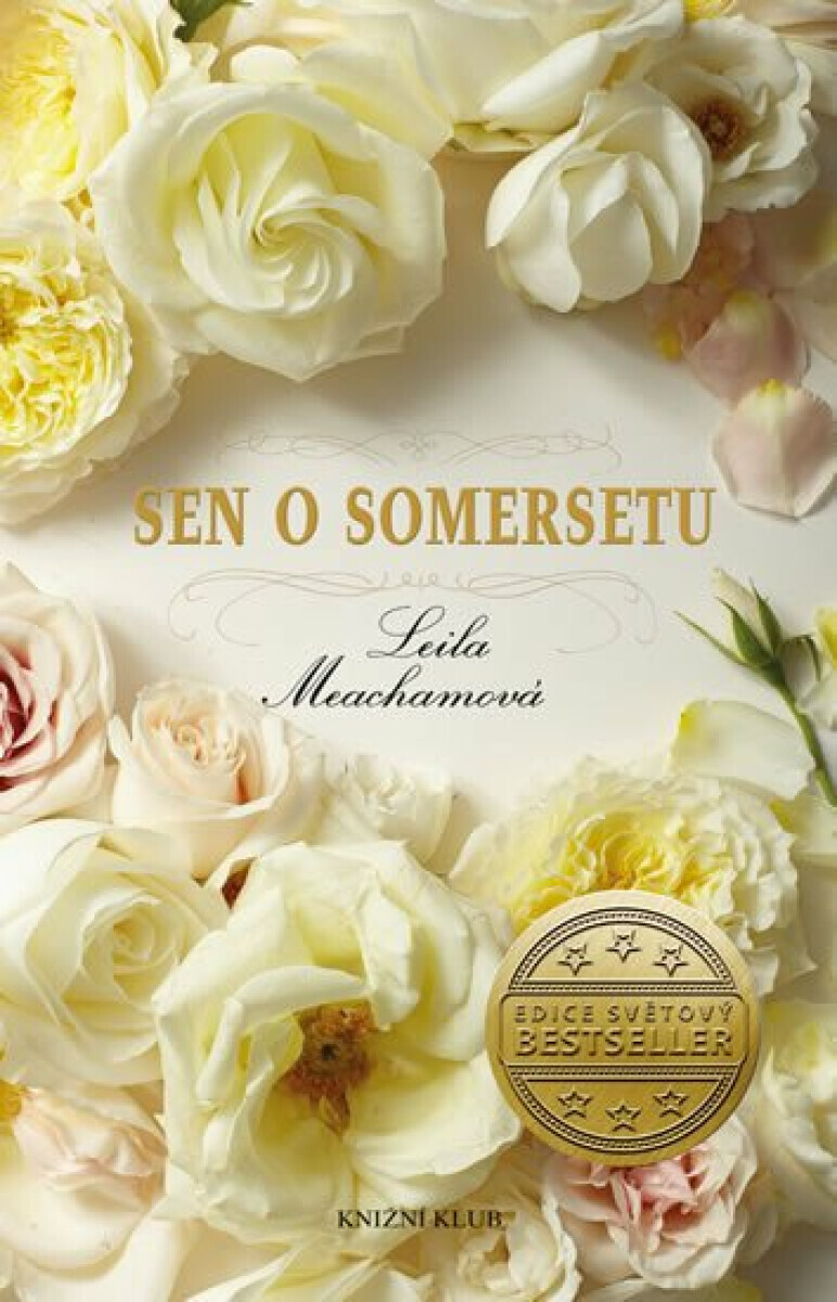 Sen o Somersetu (poškozená) - Leila Meachamová