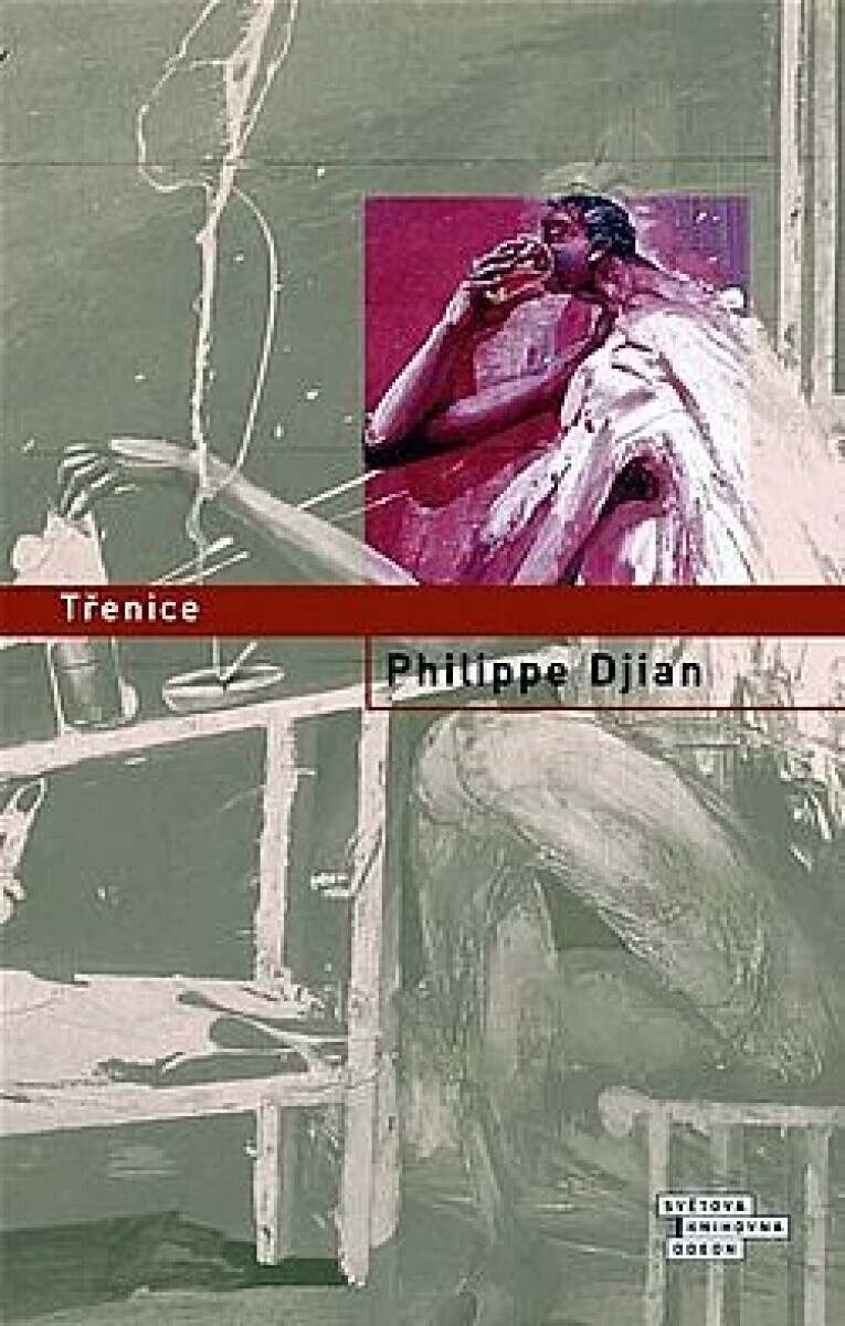 Třenice (poškozená) - Philippe Djian