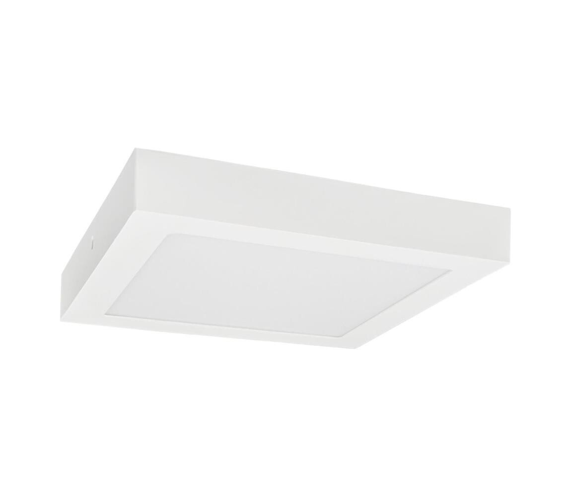 Greenlux LED Stropní svítidlo FENIX LED/12W/230V 3800K 17 cm sněhově bílá