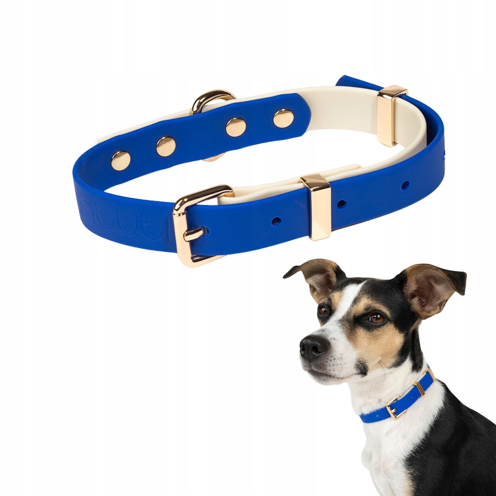Elegantní minimalistický obojek pro psa Faro páska Pvc modrá L