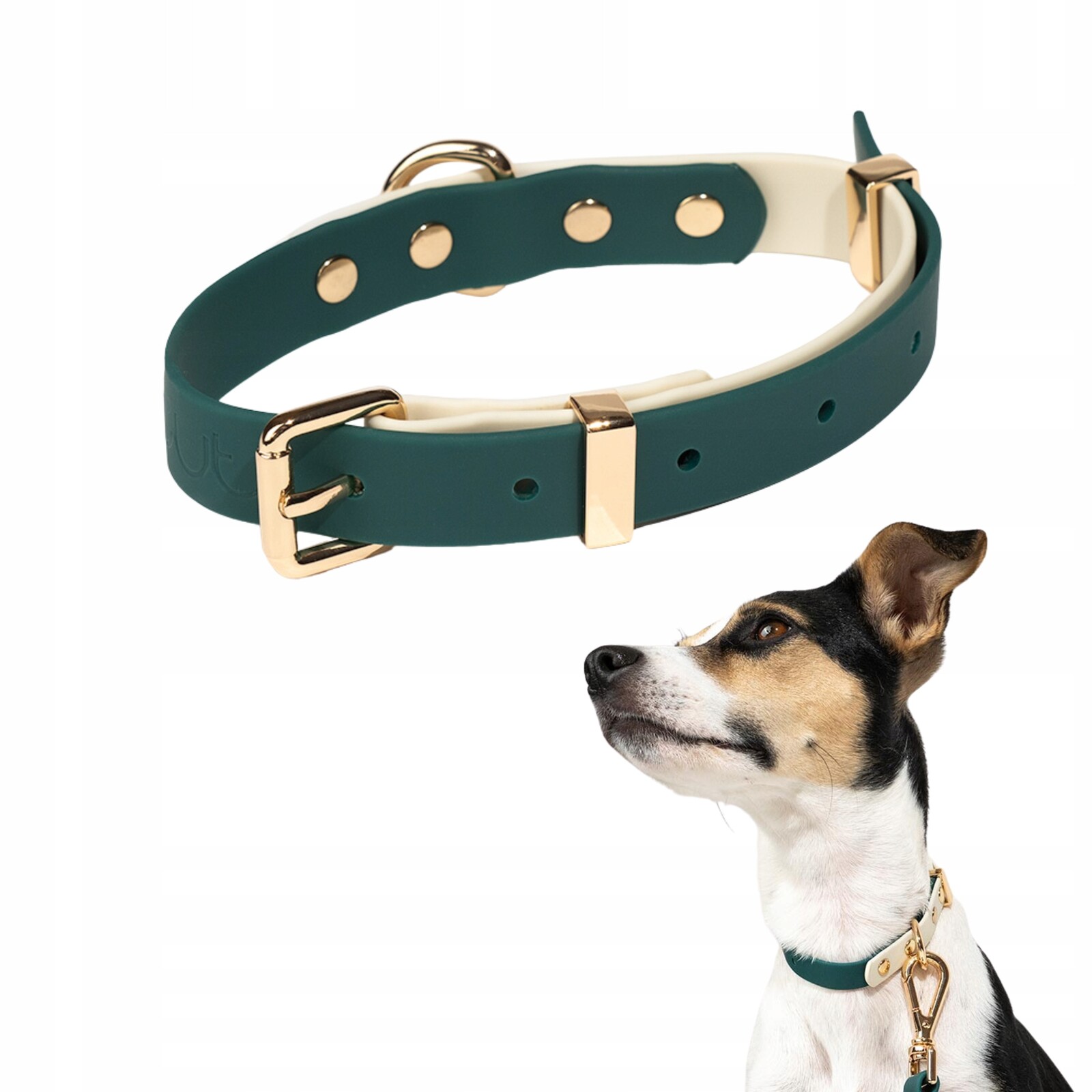 Elegantní minimalistický obojek pro psa Faro páska Pvc Zelená L