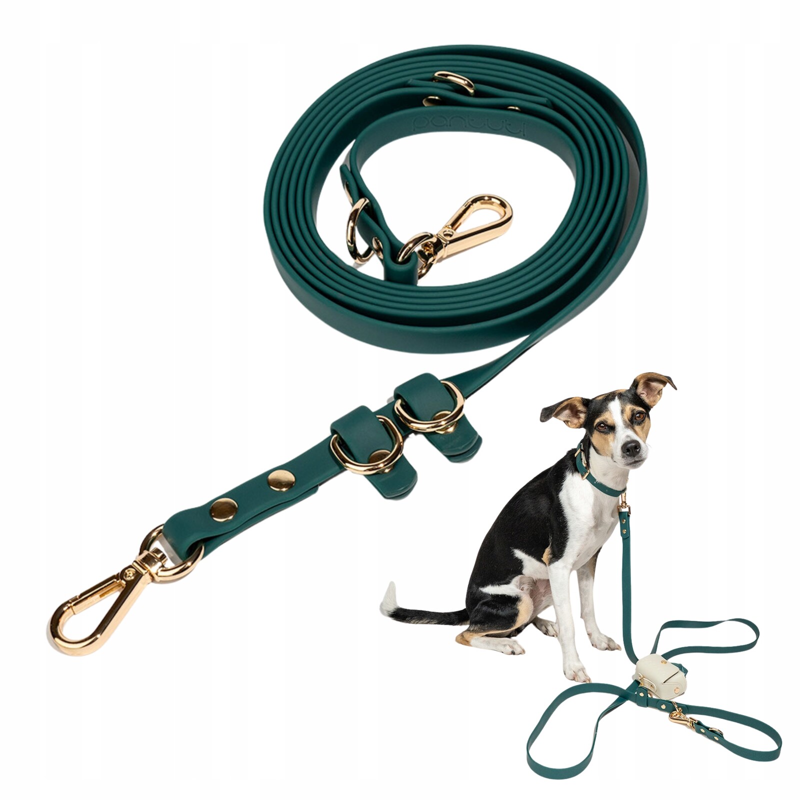 Elegantní voděodolná přepínací vodítko pro psa Faro páska Pvc Zelená M