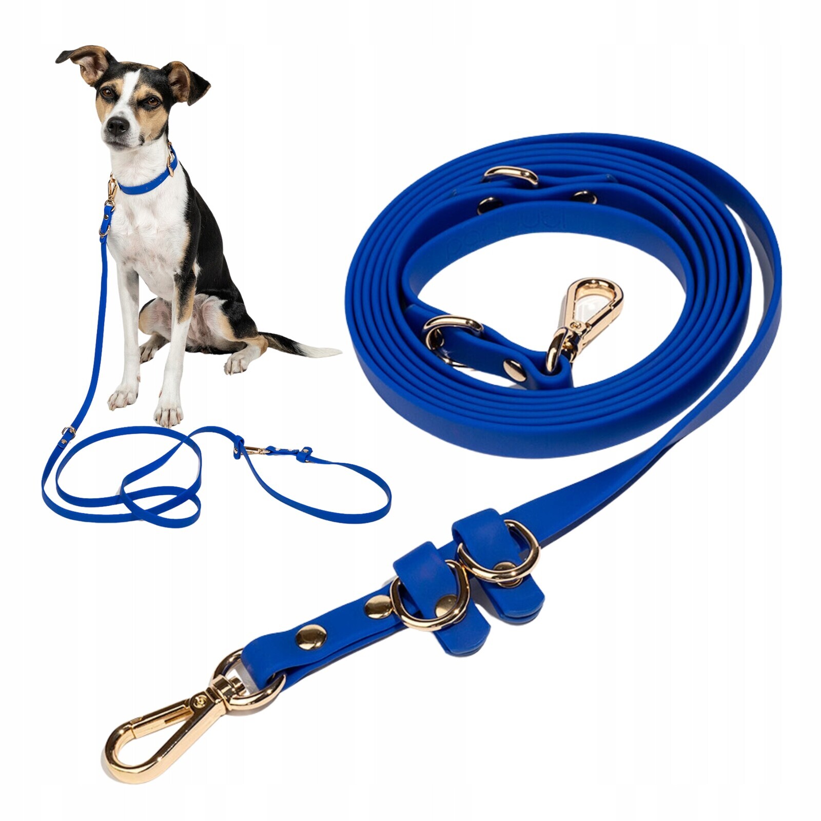 Elegantní voděodolná přepínací vodítko pro psa Faro páska Pvc Modrá S