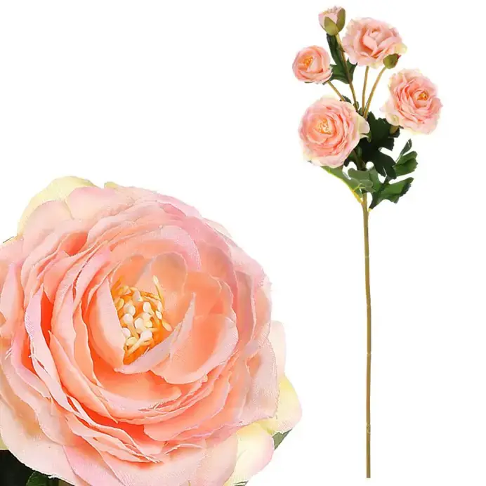 Autronic Ranunculus lososová KN6134-SAL