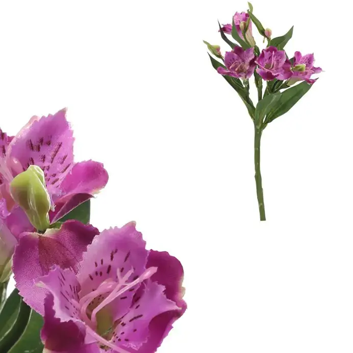 Autronic Alstromérie fialová KT7911 PUR