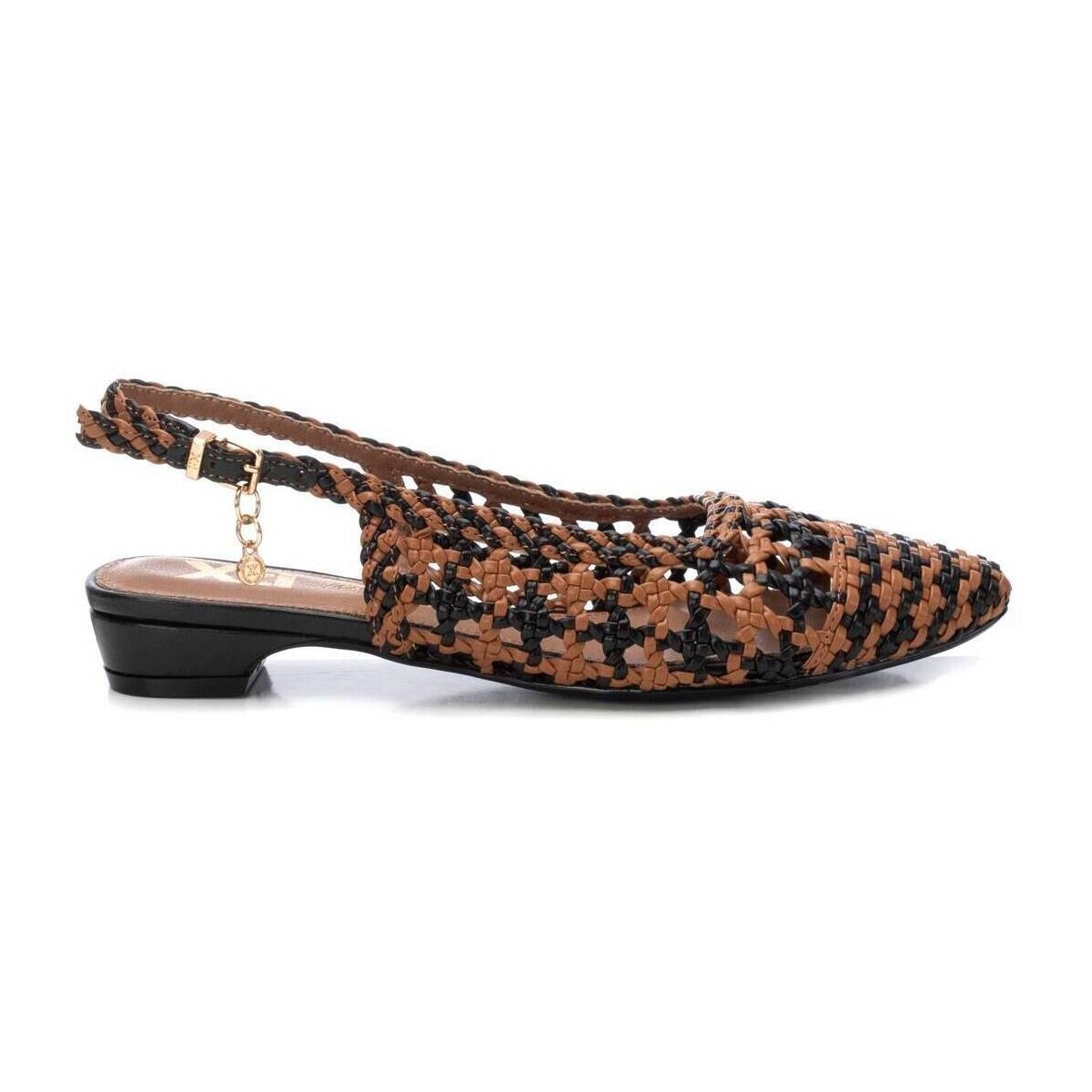 Xti  14393603  Hnědá