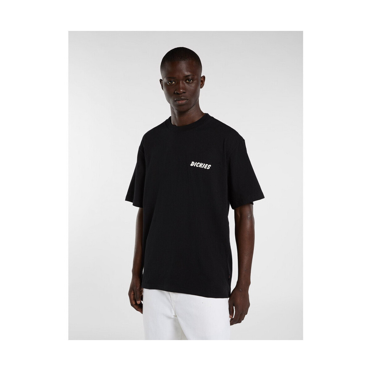 Dickies  Dry ridge ss tee  Černá