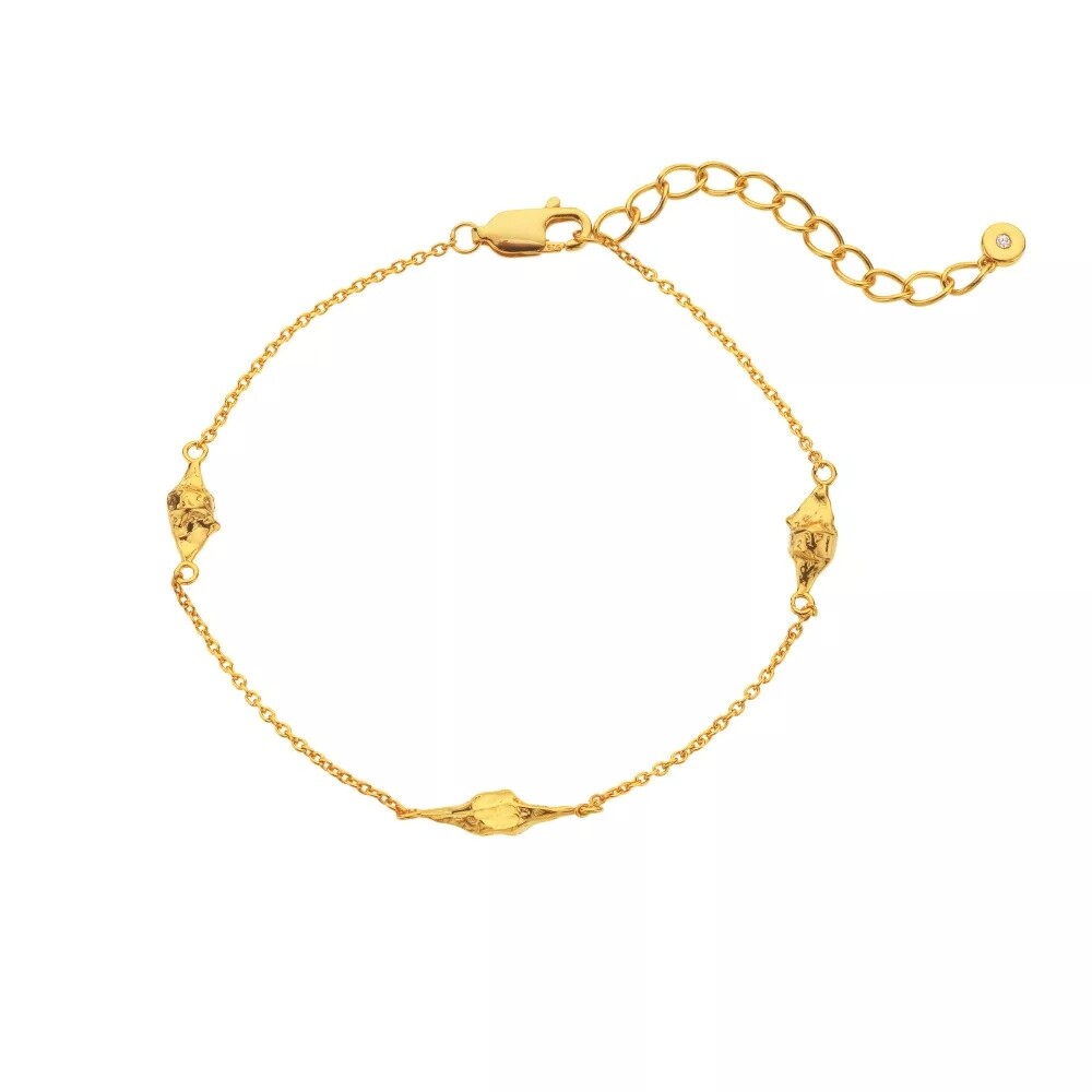 Hot Diamonds Elegantní pozlacený náramek s pravým diamantem Golden Edit Muse DL711