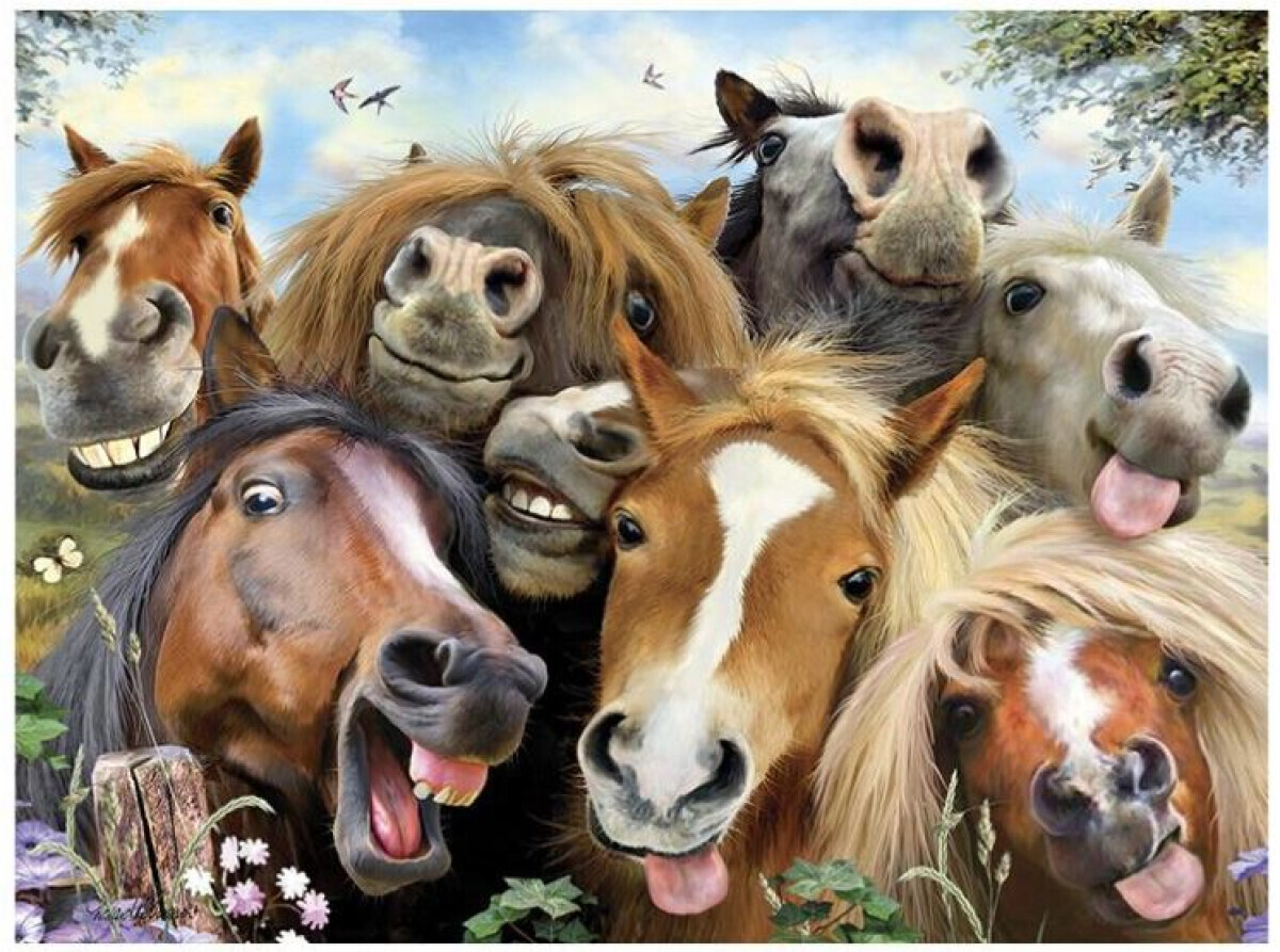 3D PLAKÁT - Koní Selfie