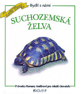 Suchozemská želva (poškozená) - Romana Anděrová