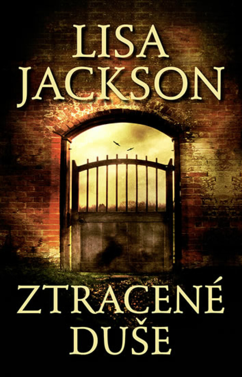Ztracené duše (poškozená) - Lisa Jackson