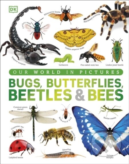 Our World in Pictures Bugs, Butterflies, Beetles and Bees - DK