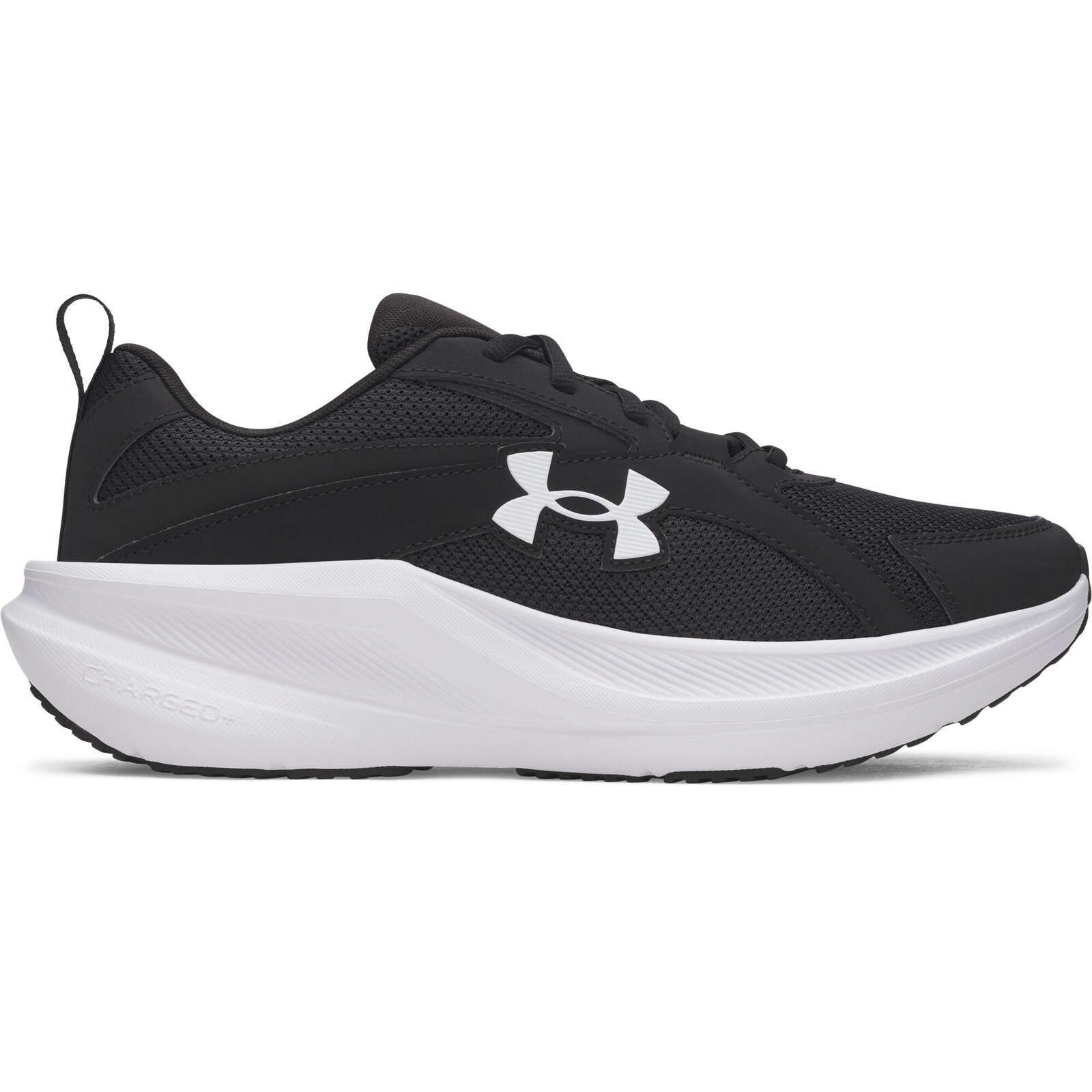 Pánské běžecké boty Under Armour Assert 11