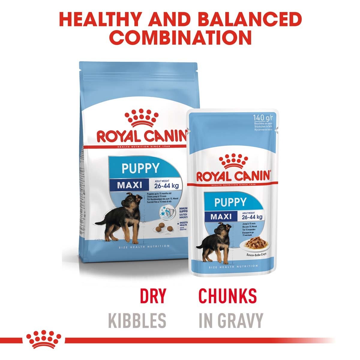 ROYAL CANIN Maxi Puppy 4 kg + Maxi Puppy v omáčce 10× 140 g