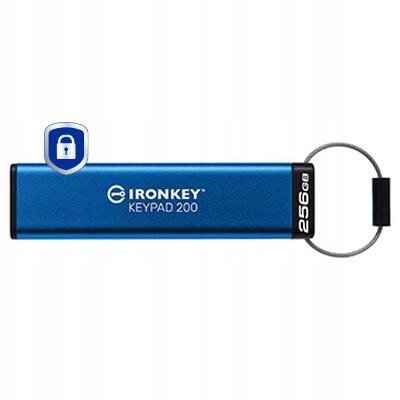 Paměťový Flash Disk USB3.2/256 Gb IKKP200/256 Gb Kingston