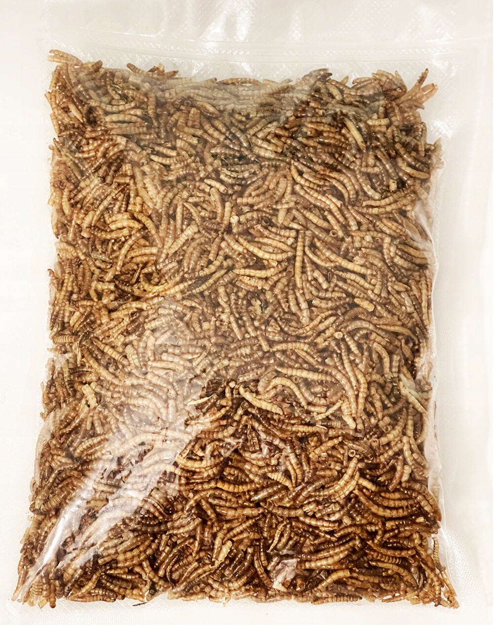 Balmax, Sušené larvy moučníku, moučník, Mealworm, krmivo pro ptáky, 2 kg.