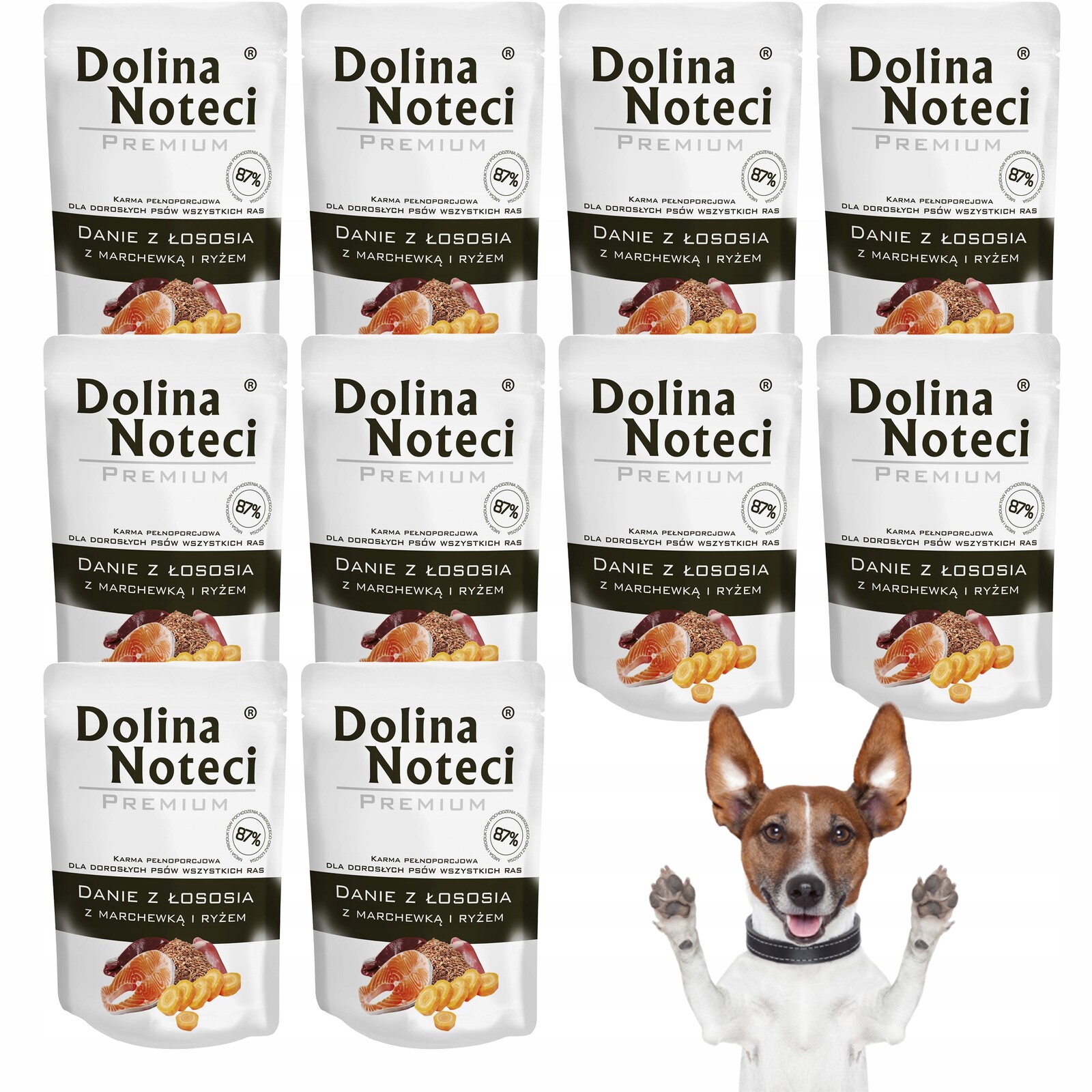 Dolina Noteci Premium Krmivo jídlo Losos 10x 300g