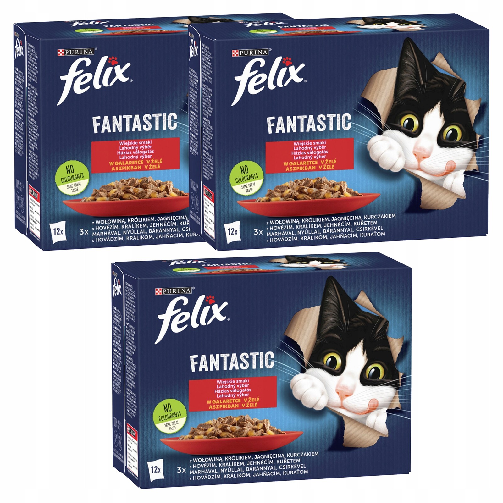 Purina Felix Fantastic krmivo pro kočky pro kočky mix chutí 36 x 85 g