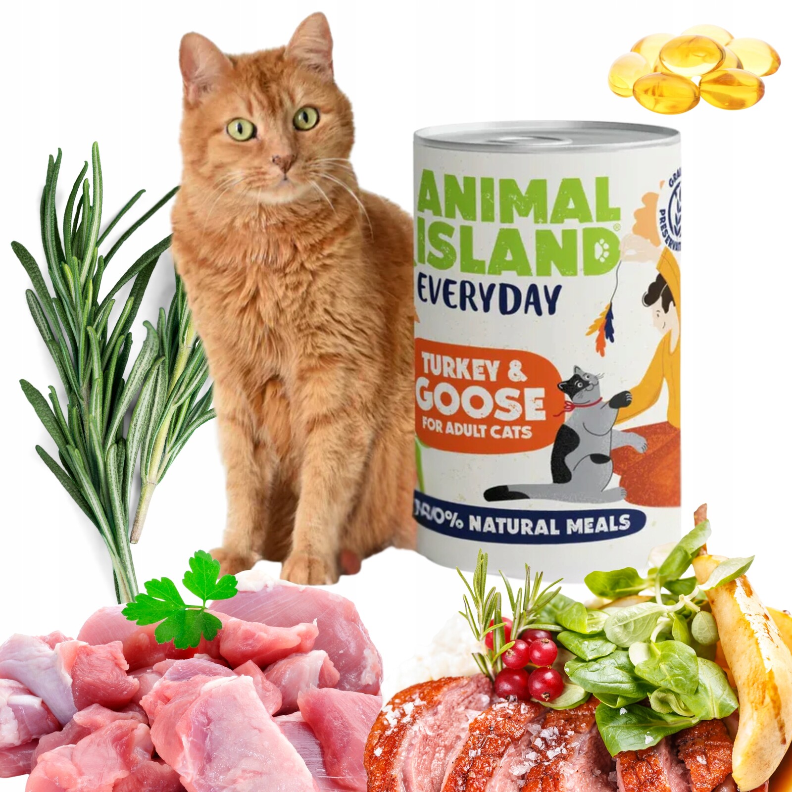 Krmivo pro kočky bez obilovin Animal Island krůta husa Everyday 400g 12 Ks