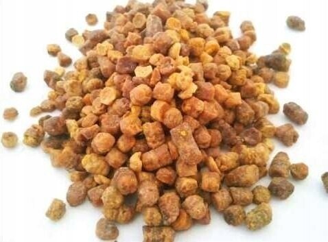 Perga Polsko – 100 g