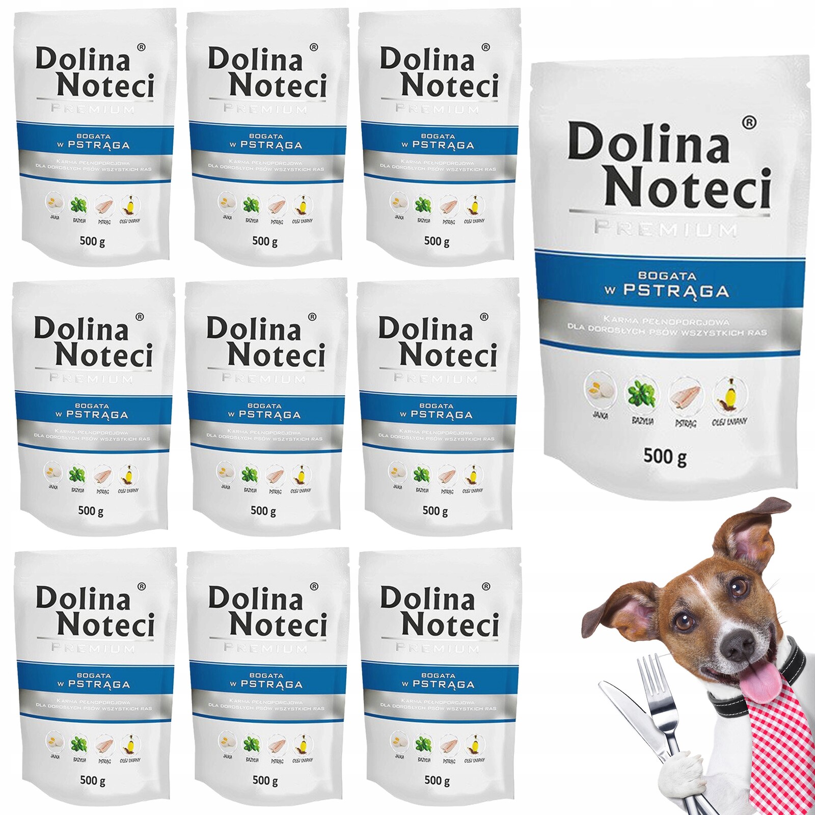 Dolina Noteci Premium Krmivo pro psy Pstruh 10 x 500 g