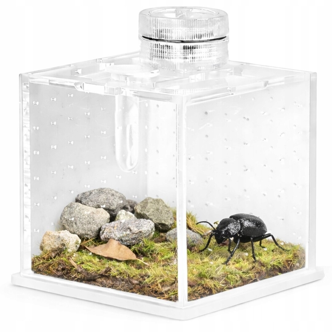 Terrario SpiderNook L – mini akrylové terárium s osvětlením