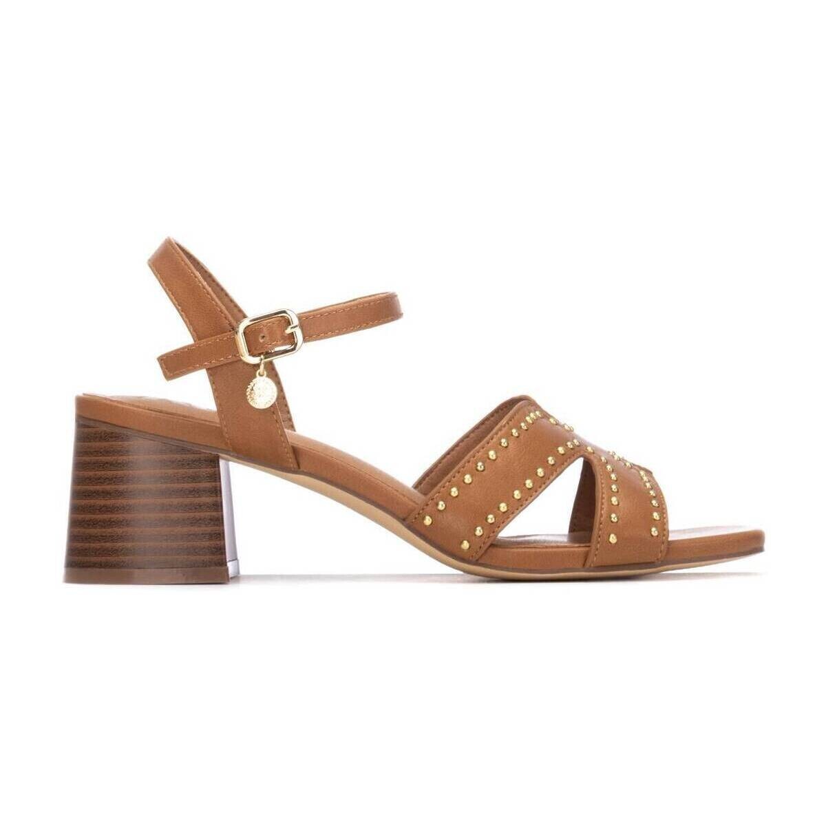 Xti  14546402  Hnědá