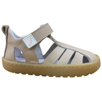 Blanditos  CUBA Arena  Šedá