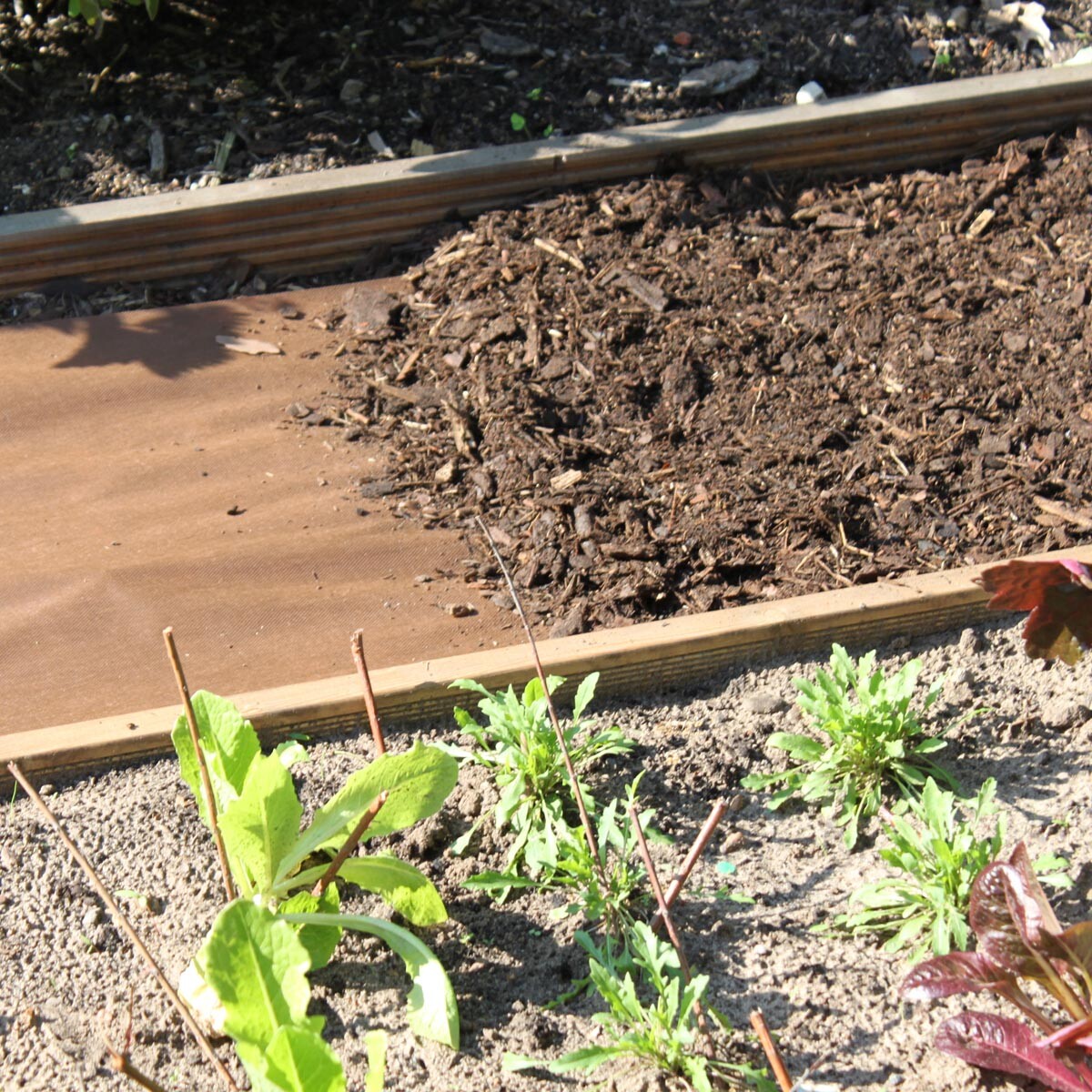 Videx Garden Mulčovací textilie proti plevelu 1000 x 80 cm, tmavě hnědá