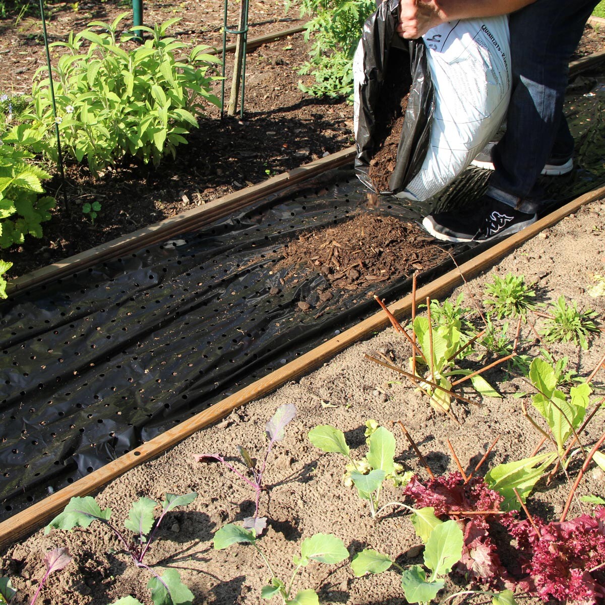 Videx Garden Mulčovací fólie proti plevelu 500 x 150 cm, černá