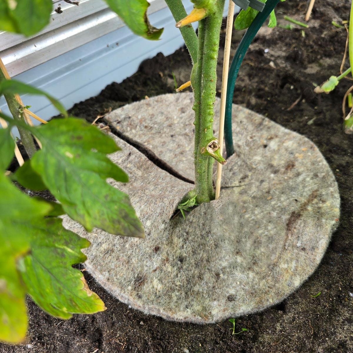 Videx Garden Přírodní zahradní vlna Mary’s Disc, 37 cm