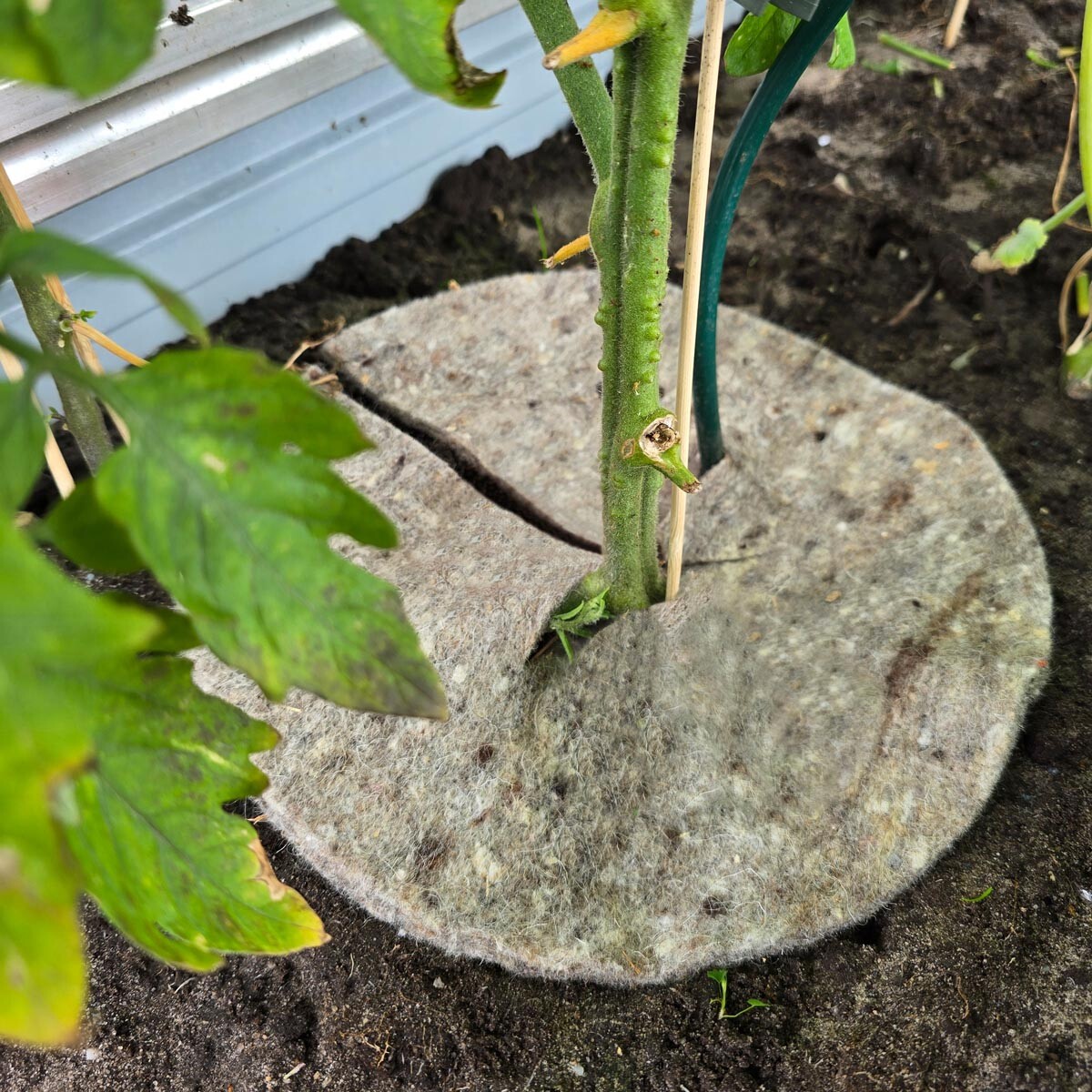 Videx Garden Přírodní zahradní vlna Mary’s Disc, 45 cm