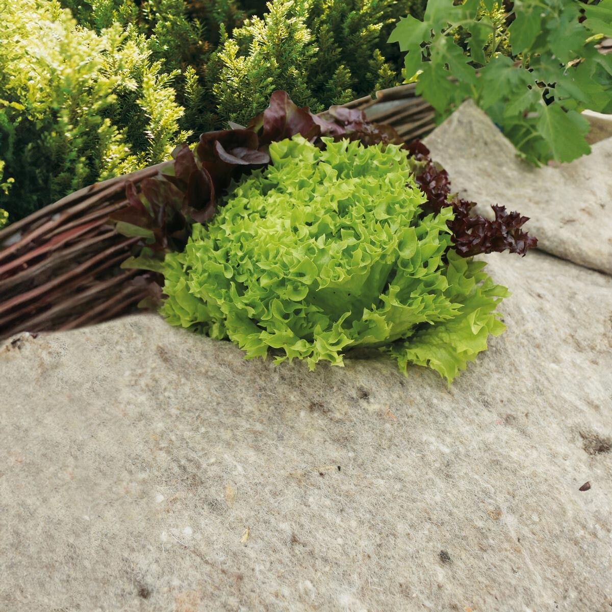 Videx Garden Přírodní zahradní vlna Mary's pro zadržovaní vlhkosti